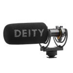 V-Mic_D3_deity_india_tiyana
