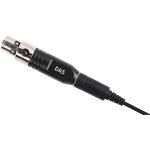 deity-w-lav-microphone-da-5-india-tiyana