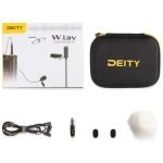 deity-w-lav-microphone-da-5-india-tiyana
