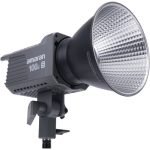 Amaran 100dS Daylight LED Monolight-India-Tiyana