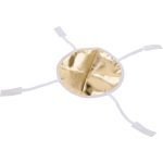 Aputure-Light-Dome-Mini-III-India-Tiyana