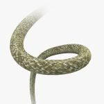 PGYTECH-Camera-Shoulder-Strap-Air-Bohemian-India-Tiyana