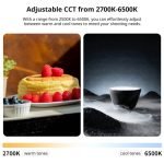 lanzi-UA12-Portable-Air-Tube-Bi-Color-LED-Light-India-Tiyana