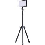 amaran-Light-Stand-India-Tiyana